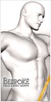 Bespoke Head & Body Morph (Commercial)