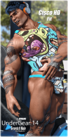 Fitting Morph - Cisco HD - UnderGear 14 for Genesis 8 Male by DZheng