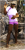 Fitting Morph - Niko 8 - SummerTimeZ Set 09 for G8M by DZheng