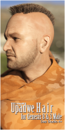 Upadwe Hair for Genesis 8 & 3 Male