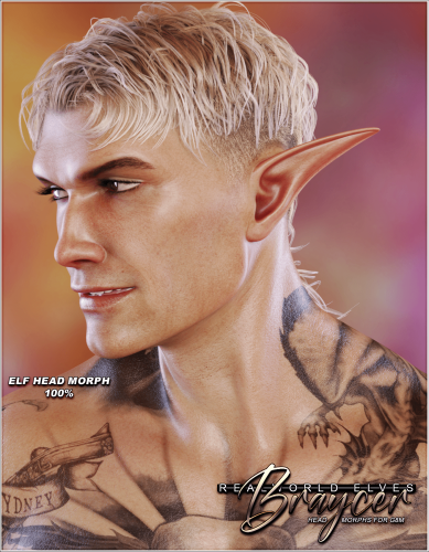 Realworld Elves - Braycer Head Morphs for Genesis 8 Male